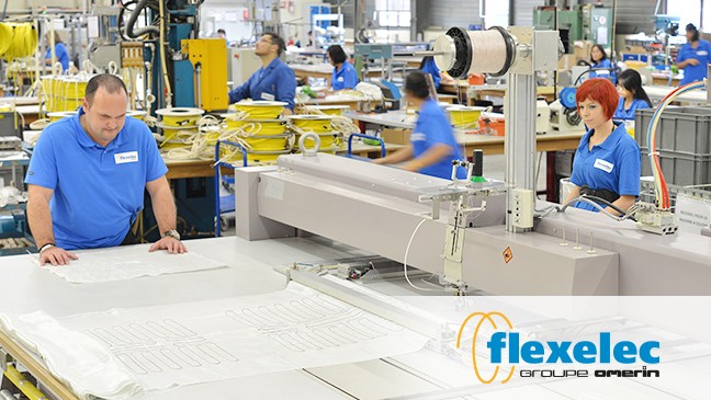 Flexelec