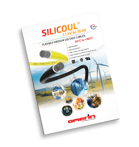 Brochure Silicoul