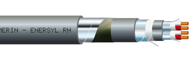 ENERSYL RH INSTRUM