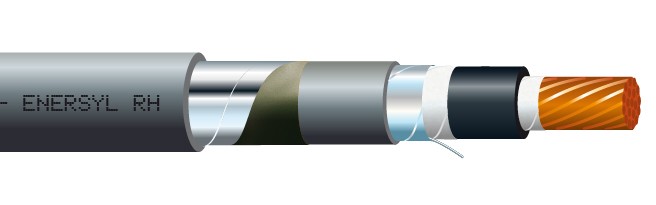 ENERSYL RH POWER 1x