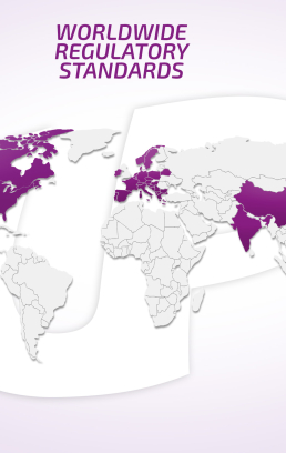worldwide regulatory standards